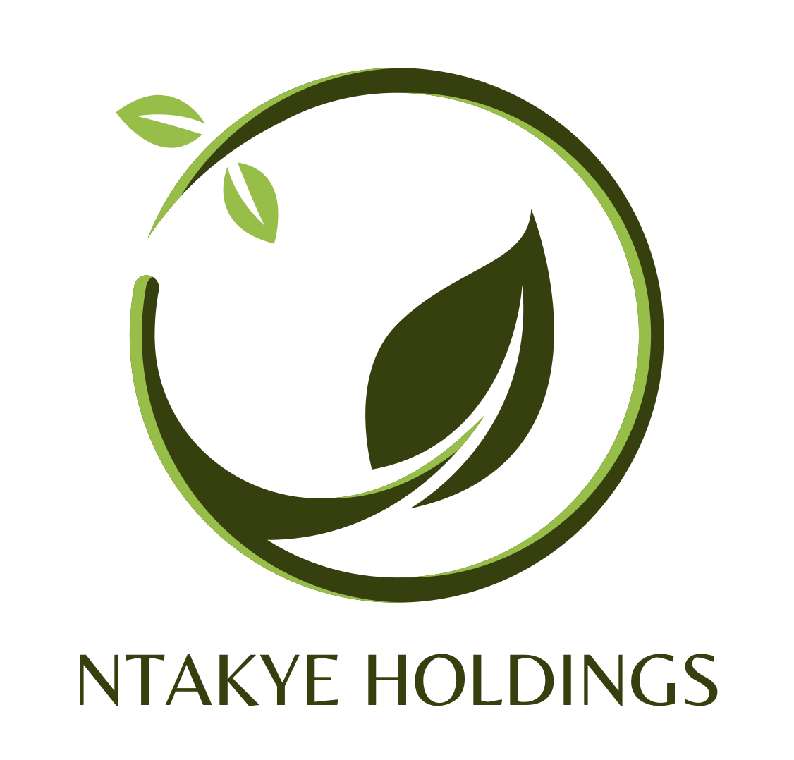 Ntakye Holdings Ltd